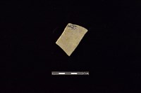陶片藏品圖，第2張